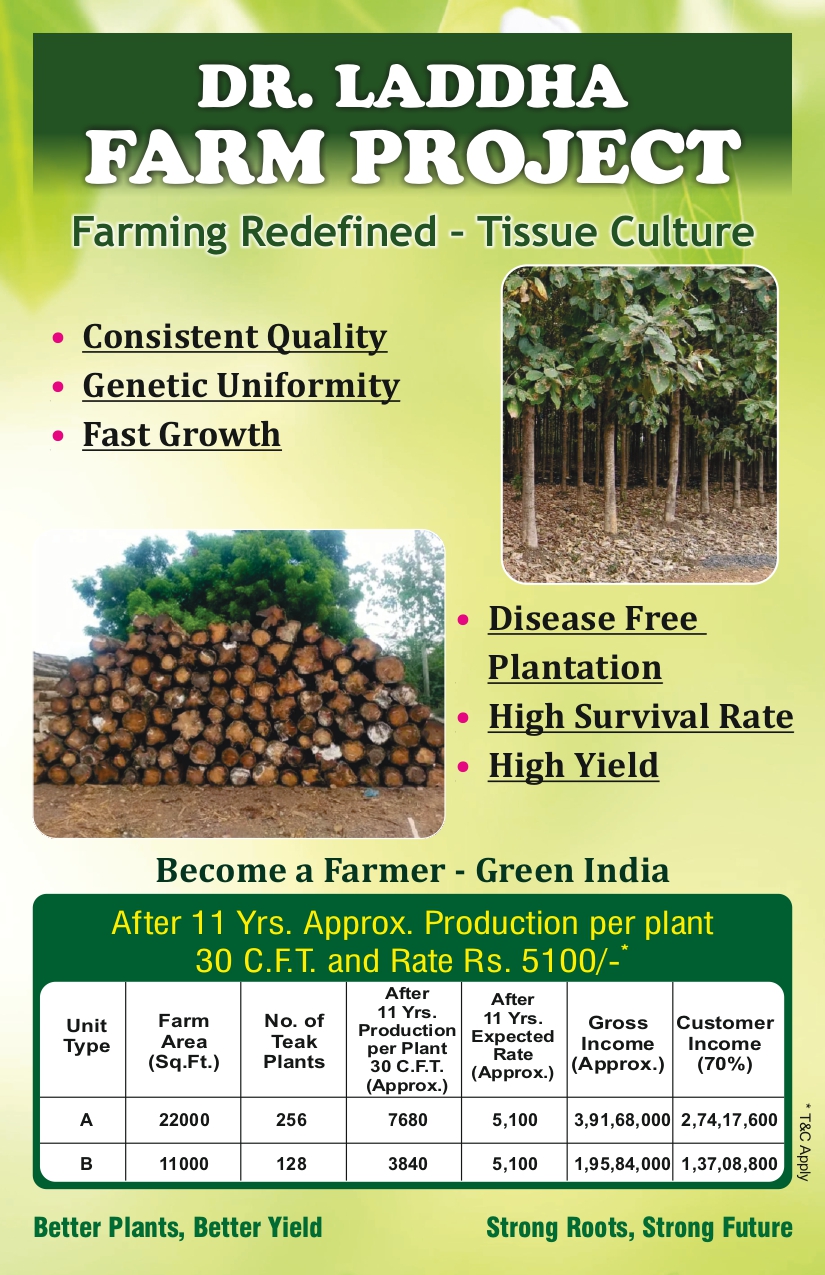 Nature Growth